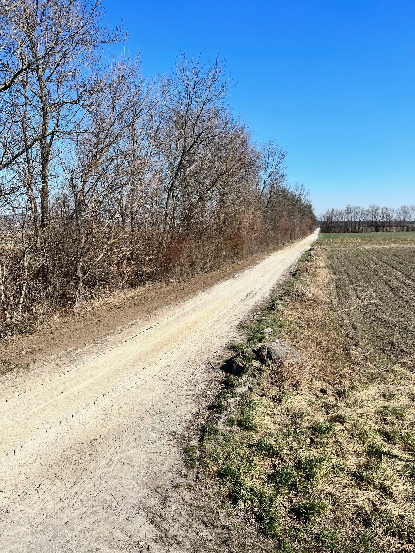 Sanierter Weg in der Landschaft